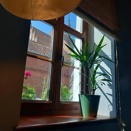 Apartment W Kamienicy
