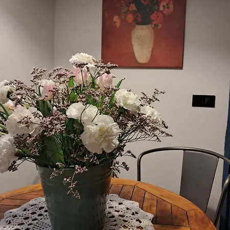 شقة Typu W Kamienicy