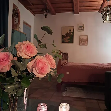 Appartement W Kamienicy Lidzbark Warmiński