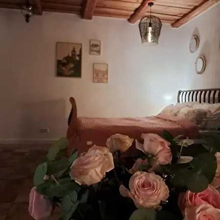 Typu W Kamienicy ليدزبارك فارنيتسكي